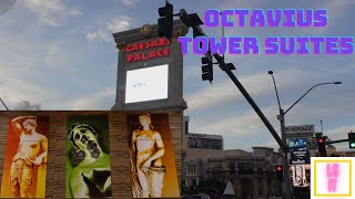 Step Inside the Luxurious World of the Caesars Palace Octavius Tower Suites [upl. by Ramirolg]