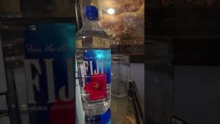 Fiji water review [upl. by Vernon]