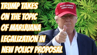 Donald Trump Calls For The Legalization Of Marijuana [upl. by Arbed]