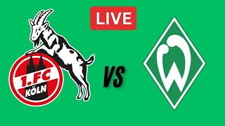 Köln w gegen Werder Bremen w LiveSpiel  LiveErgebnisse der deutschen FrauenBundesliga [upl. by Steffi]