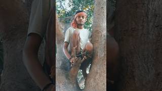 subscribe funny yarley comedy rajan commant love 🤣🤣 [upl. by Hyrup]