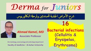 016 Cellulitis Erysipelas Erythrasma Bacterial Skin Infections [upl. by Avehs]