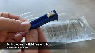 How to Set Up an Intravenous IV Fluid Bag For Your Pet At Home [upl. by Blim]