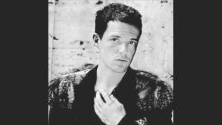 Crossfire  Brandon Flowers PVH Remix [upl. by Ardnoek]