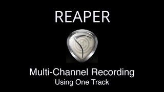 MultiChannel Recording Using One Track in REAPER [upl. by Eillam117]