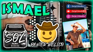 Ismael 🤠 en Acordeón de Sol  Panter Bélico  Tutorial Completo [upl. by Nolek]