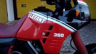 CAGIVA ELEFANT 350 1988 by ZANIMOTOR [upl. by Lammond915]