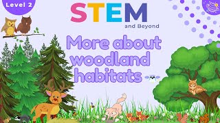 Woodland Habitats  Science For Kids  STEM Home Learning [upl. by Solotsopa226]