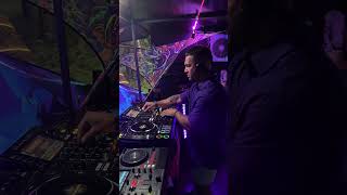 ATOMIC FOREST FESTIVAL ACID dj psytechno psy [upl. by Alejo621]