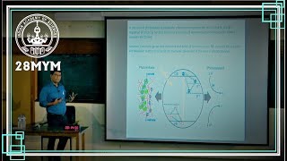 NanomaterialsBased LightHarvesting Systems for Potential Applications [upl. by Matronna812]