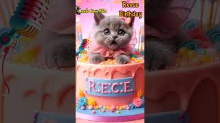 HAPPY BIRTHDAY TO YOU REECE  HAPPY BIRTHDAY SONG WITH NAMES  Adorable Cute Cat 😺 happybirthday [upl. by Silera698]