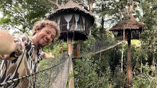 Este hotel está construido sobre ÁRBOLES  Tree Lodge Amazonas [upl. by Jonah]