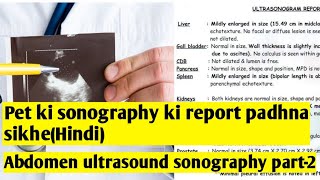 Pet ki sonography ki report padhna sikheHindi Pancreas and spleen Sonography report Part2 [upl. by Odidnac545]