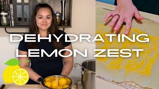 Dehydrating Lemon Zest [upl. by Aigroeg]