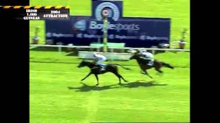 Irish 1000 Guineas Video Vault [upl. by Nerrad]