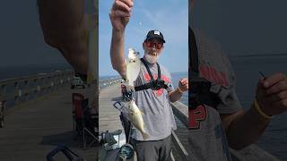 Keansburg Fishing Pier Spot Fish [upl. by Srednas455]