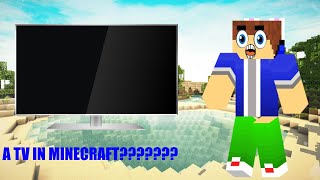 How to get a WORKING TV in Crazy Craft like SSUNDEE has [upl. by Drawyah]