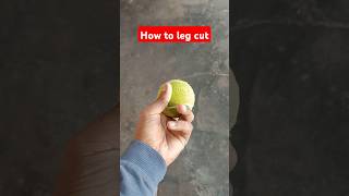 How to leg cut 👍🏻 yutube viralvideo cricket [upl. by Kleper311]