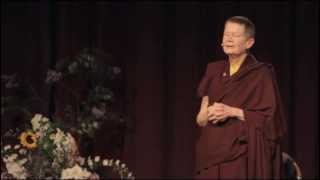 Pema Chödrön  The Freedom to Love [upl. by Nnahgiel31]