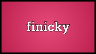 Finicky Meaning [upl. by Yanehs]