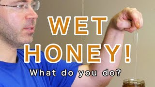 What to do with Wet Honey [upl. by Amsed]