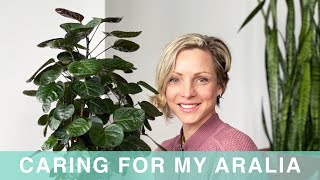 How I Care For My Aralia  Green Moments With Juliette  Episode 01 [upl. by Allets]