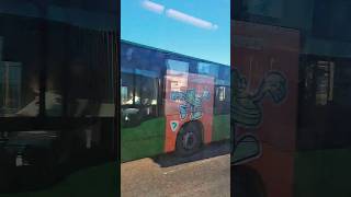 GREEN BUS IN THE RENOVATION ROAD greenday rock asmr travel car rositaegner1628 [upl. by Siouxie233]