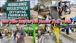 490 Kilo Zeytinden Bakın Kaç Kilo Zeytinyağı Çıktı  Deveciler Fabrikası Osmaniye [upl. by Rotce]