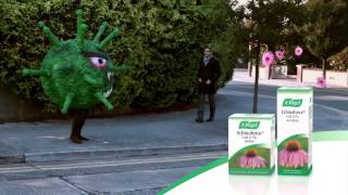 AVogel Echinaforce® oral drops amp tablets [upl. by Luapnhoj]