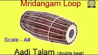 Aadi Talam  Mridangam Loops  A scale [upl. by Kcirdnek]