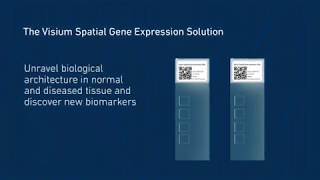 How it Works  Visium Spatial Gene Expression Solution [upl. by Papert]