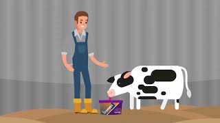 Do Dairy Differently with Crystalyx [upl. by Gehlbach383]