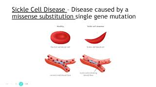 Higher Human Biology Unit 1 KA4 Mutations [upl. by Adnarom]