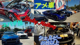 【アメリカ🇺🇸】本場アメ車80台以上のシェルビーミーティング！！ [upl. by Aribold759]