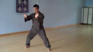 Tai Chi  Chen Style 19 Step Short Form [upl. by Anne-Corinne]