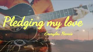 Emmylou Harris  Pledging my Love cover by 이화 [upl. by Isleana]