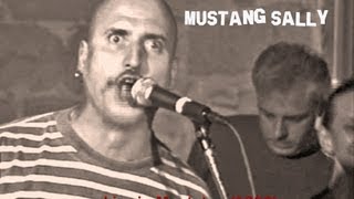 Wilson Pickett  Mustang Sally Cover by Jacques Mercier and friends [upl. by Iur]