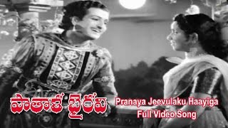 Pranaya Jeevulaku Haayiga Full Video Song  Patala Bhairavi  NTR  K Malathi  ETV Cinema [upl. by Marwin]