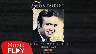 Ziya Taşkent  Kıskanırım Seni BenSaçın Yüzüme Değse Official Audio [upl. by Zasuwa368]