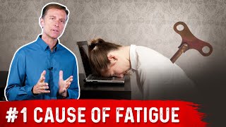 Number ONE Cause of Chronic Fatigue 50 Years or Older [upl. by Rakia]