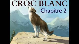 Croc Blanc  Livre Audio ðŸ”ˆ  Chapitre 2  La louve  Jack London [upl. by Rika846]