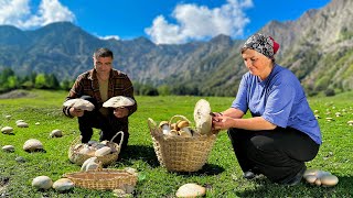 Collecting Wild Mushrooms in Azerbaijan’s Mountains  Traditional Mushroom and Potato Recipe [upl. by Gerard]