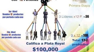 ¿Que es el multinivel [upl. by Suolekcin]