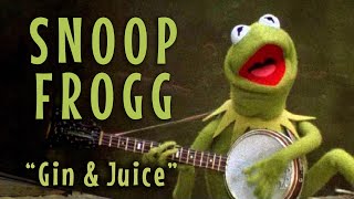 Snoop Frogg Kermit sings quotGin amp Juicequot [upl. by Noside]