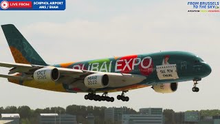 🔴 LIVE  Schiphol Airport  Plane Spotting [upl. by Jarin]