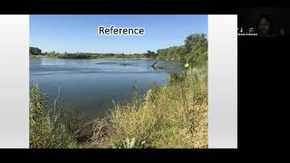 Restoration for canopy and understory communities in riparian ecosystems along the Sacramento River [upl. by Melitta]