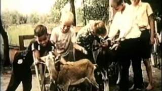 50th Anniversary of Camp Challenge Video unsubtitled [upl. by Rozele]