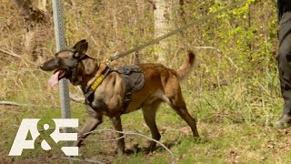 Live PD Best of K9 Officers  AampE [upl. by Hsepid]