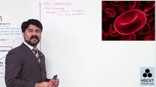 BIOLOGY CHAPTER TRANSPORT CLASS 11 LEC19 BLOOD CELLSmp4 [upl. by Oby654]