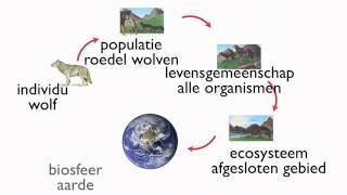 Examentraining T4 Ecologie [upl. by Frazer]